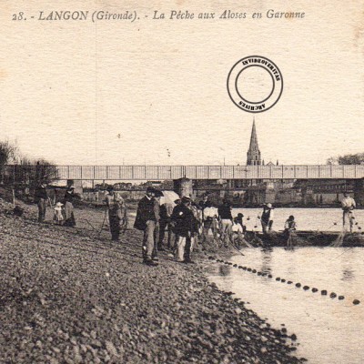 Langon La peche aux aloses en Garonne