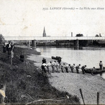 170 langon p  cheurs d aloses