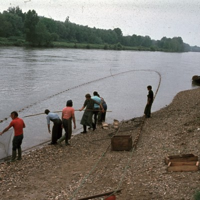 peche alose langon 1975