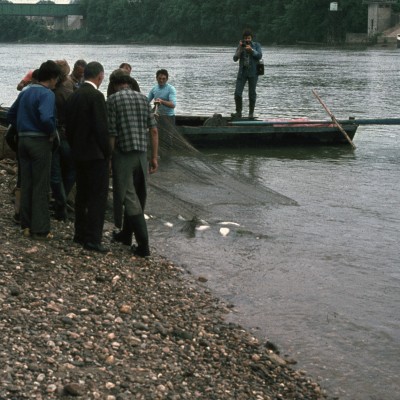 peche alose langon 1975