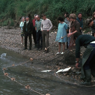 peche alose langon 1975