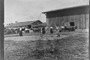 01 battage a la ferme