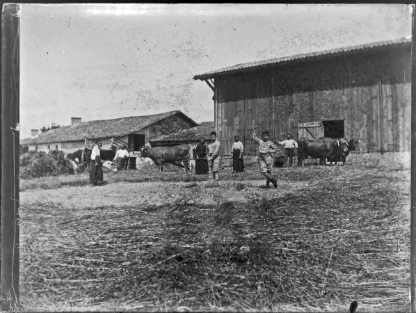 01 battage a la ferme