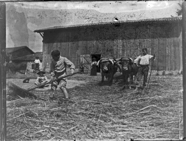 02 battage a la ferme
