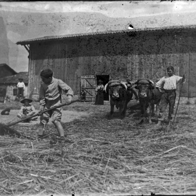 03 battage a la ferme