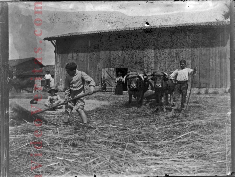 03 battage a la ferme