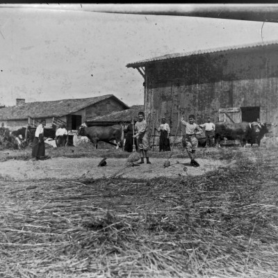 04 battage a la ferme
