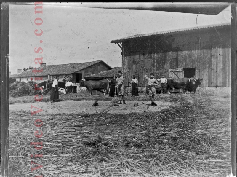 04 battage a la ferme