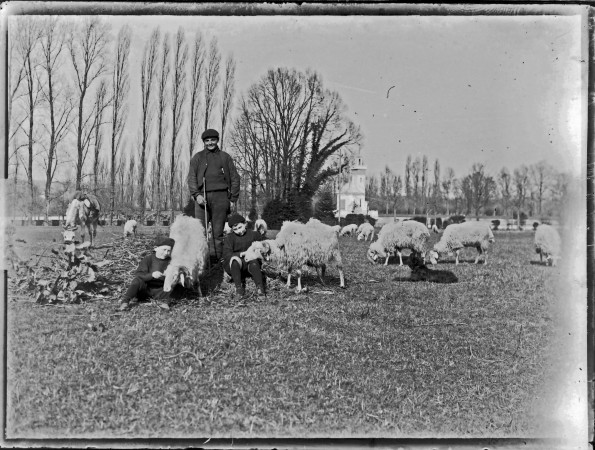 20 berger et son troupeau