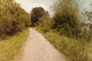 sentier rural borde de verdure